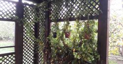 Casa tip vila de vanzare