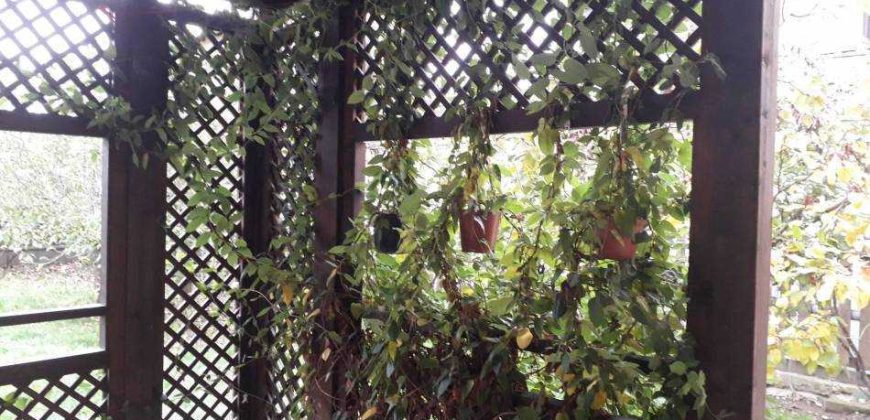 Casa tip vila de vanzare